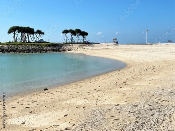 Fototapeta 海岸と木々