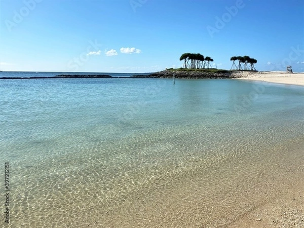 Fototapeta 海の浅瀬