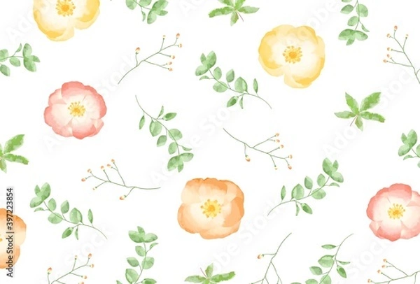 Obraz 優しいタッチのポピーとユーカリのイラスト