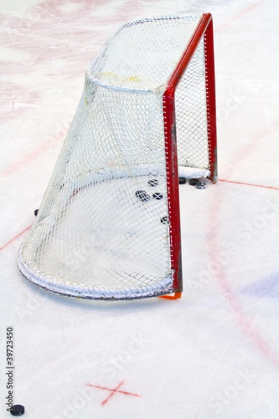 Fototapeta ice hockey net