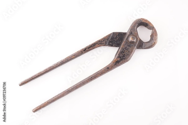 Obraz rusty pliers on white background