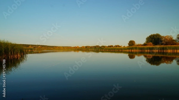 Obraz reflection of trees in water