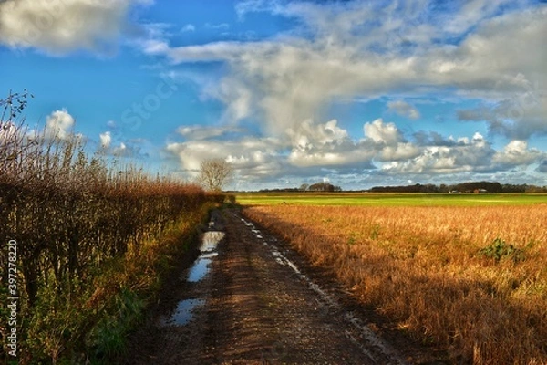 Obraz road in the field
