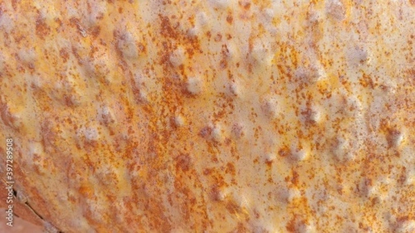 Obraz rusty metal texture