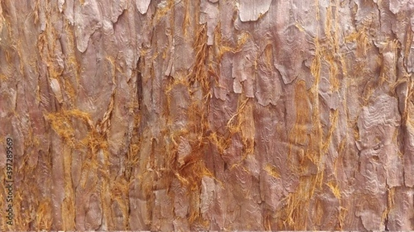 Obraz wood texture