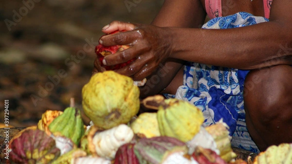 Obraz Madagaskar Reise