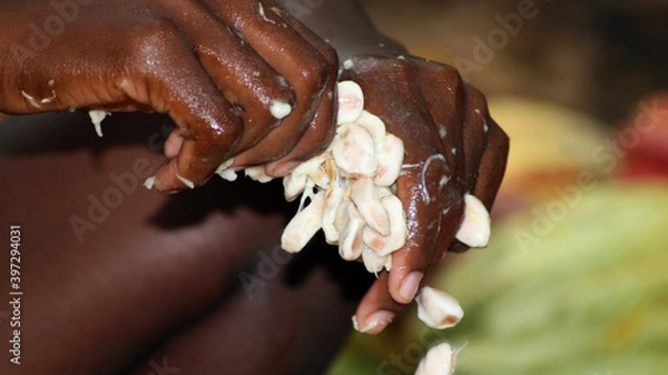 Obraz Madagaskar Reise