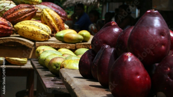 Obraz Madagaskar Reise