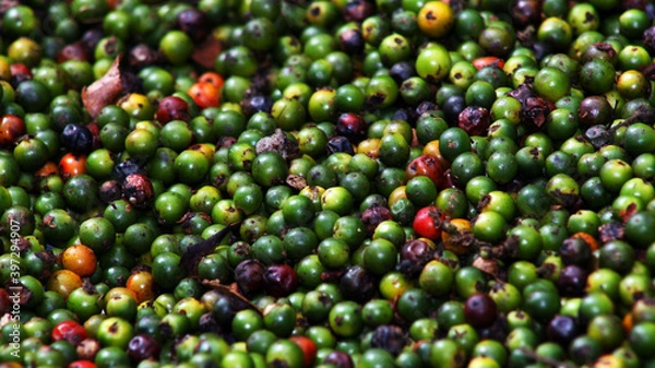 Obraz Madagaskar Reise