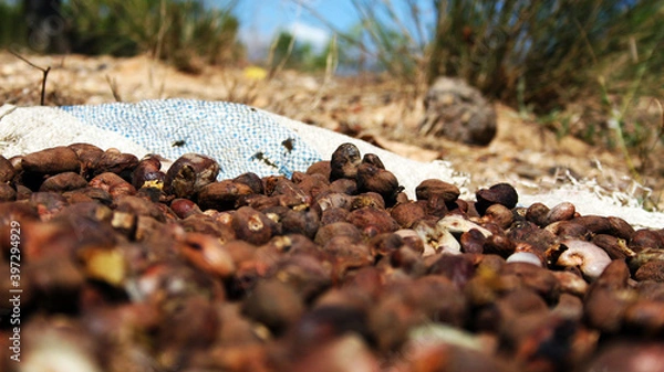 Obraz Madagaskar Reise