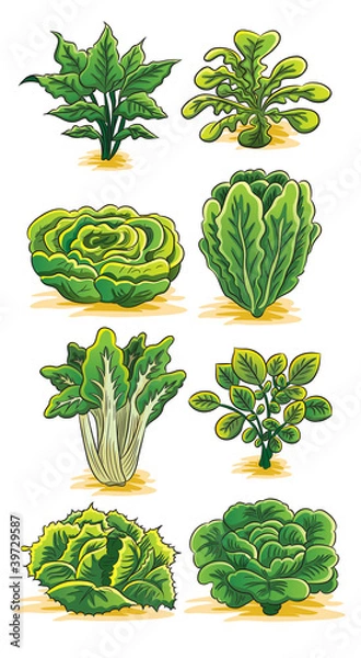 Obraz Green Vegetables Collection