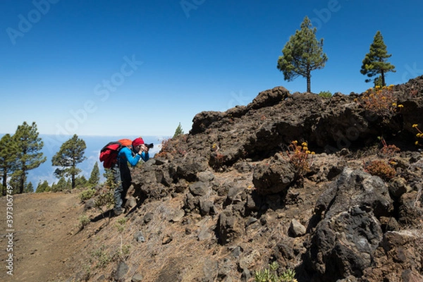 Obraz man hiking and photographing volcanic nature on canary islands