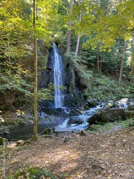 Obraz waterfall in the forest
