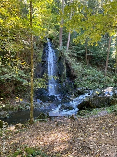 Obraz waterfall in autumn forest