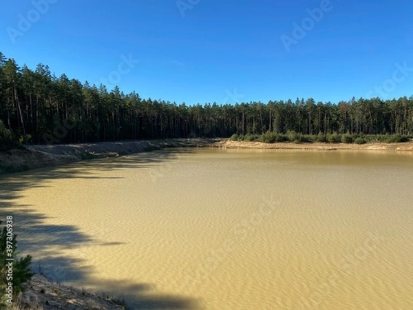 Obraz lake in the forest