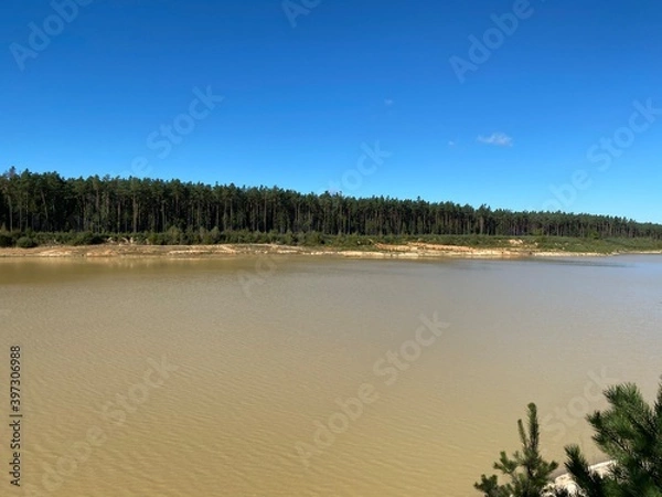 Obraz lake and forest