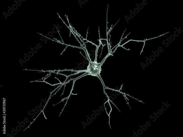 Obraz Neuron