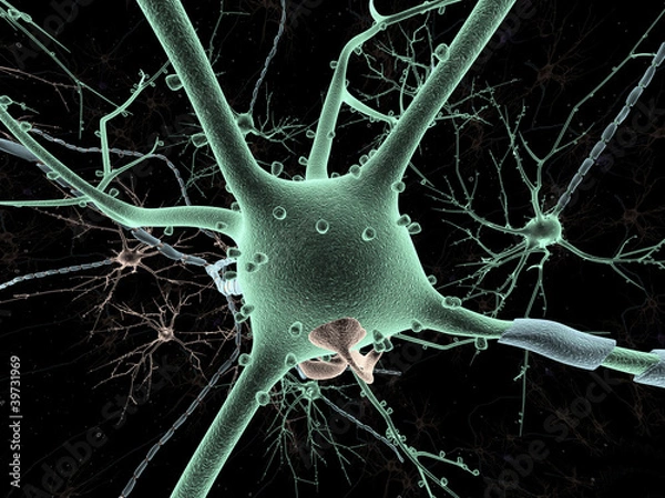 Obraz Neuron long-shot