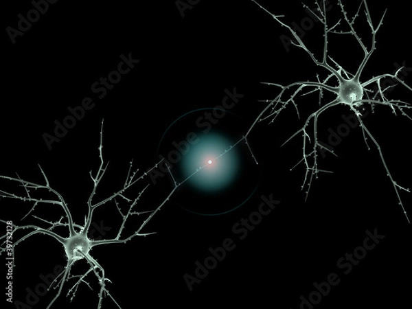 Obraz Cell body of two Neurons