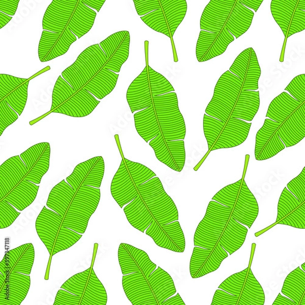 Fototapeta Banana leaf seamless pattern design. Banana leaf background. Banana leaf vector illustration.