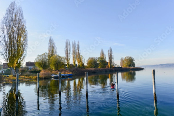 Fototapeta Bodenseeufer Insel Reichenau
