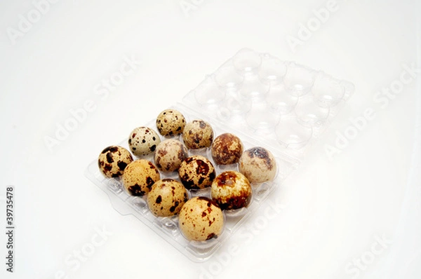 Fototapeta Quail egg