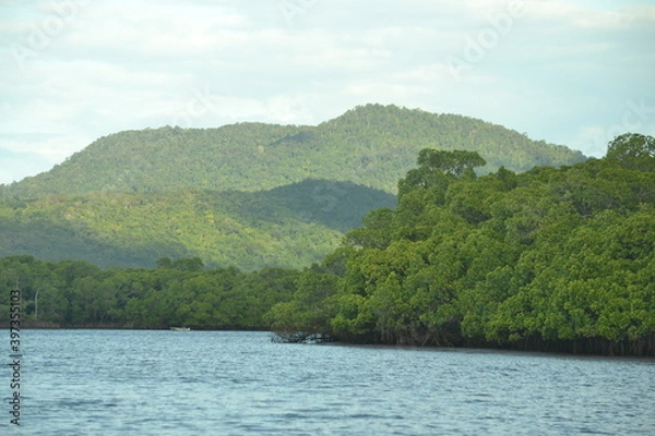 Obraz river in the mountains