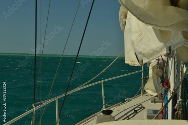 Fototapeta sailing on the sea