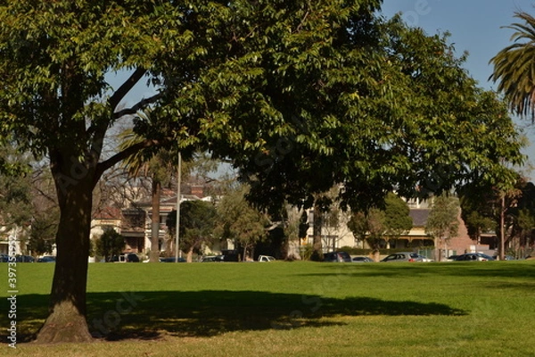 Obraz park in the city