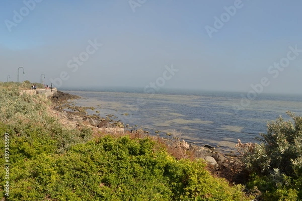 Fototapeta view of the coast of the sea from the top of a mountain 