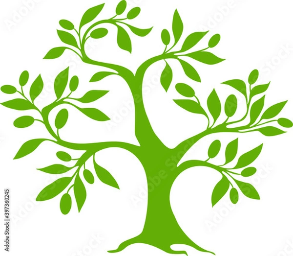 Fototapeta Olive tree made in decorative art style