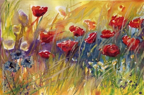 Obraz piękne maki na łące