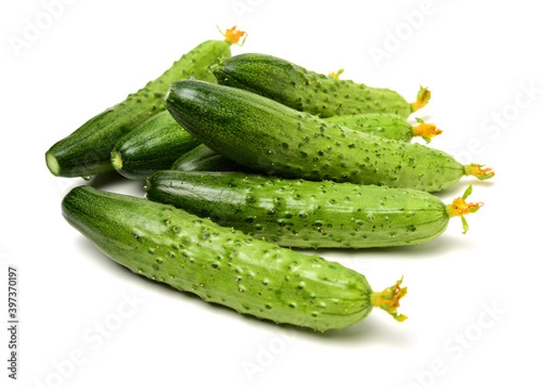 Obraz Green cucumber on the white background