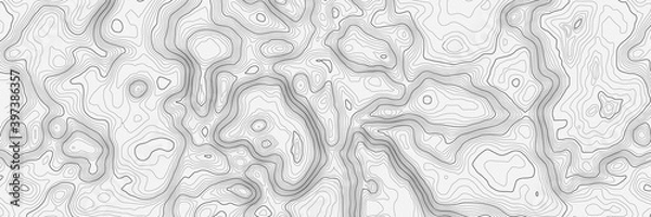 Fototapeta Background of the topographic map. Topographic map lines, contour map background. Geographic abstract grid. EPS 10 vector illustration.