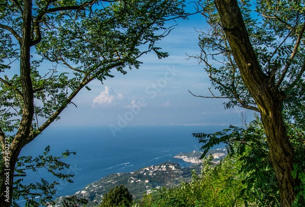 Obraz cornice alberi