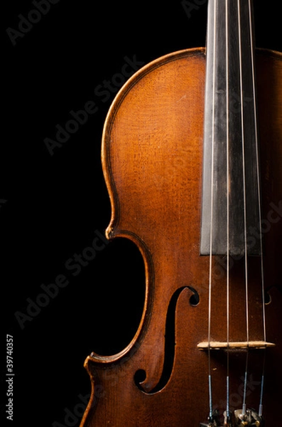 Obraz Violin close up