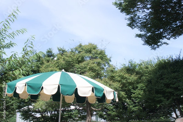 Fototapeta 夏の公園のパラソル