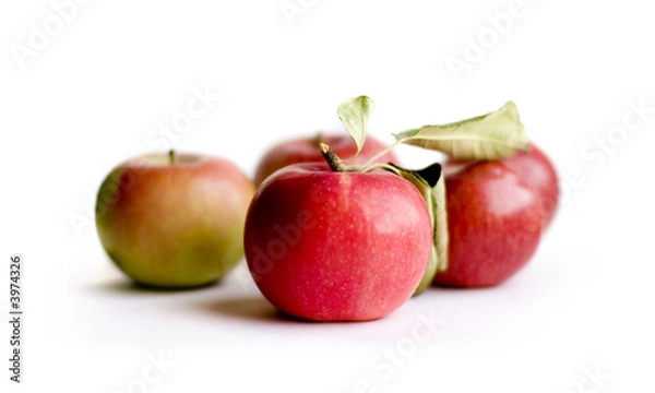 Obraz Red apples