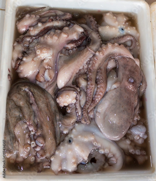 Obraz Tray with whole octopus in the fish market.