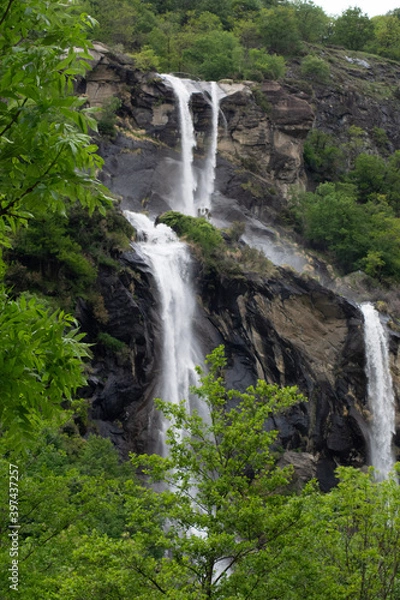 Obraz waterfall in the forest