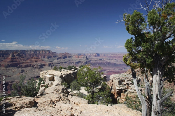 Obraz Grand Canyon