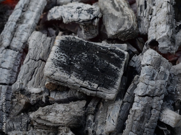 Fototapeta coals covered with ash in an extinct campfire