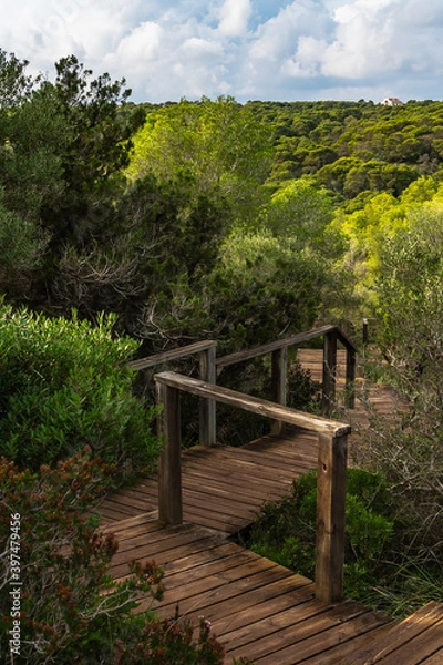 Fototapeta Wooden stairs path trail leading to Cala Macarella, in Camí de Cavalls, Minorca, surrounded by mediterranean forest, in Spain