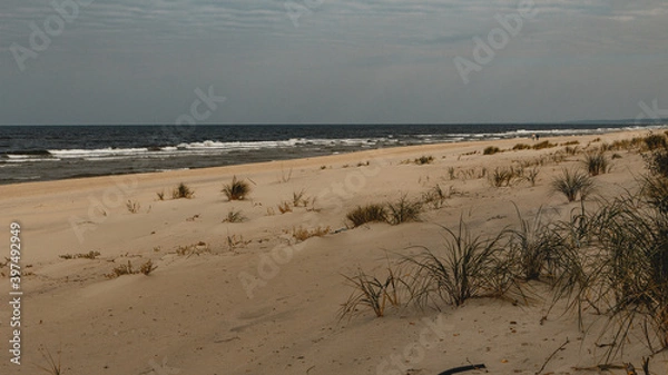 Fototapeta Baltic Sea beach