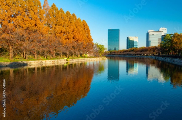 Fototapeta 外堀の晩秋