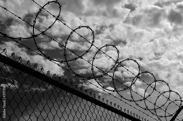 Obraz razor wire