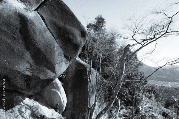 Obraz 巨岩のある風景