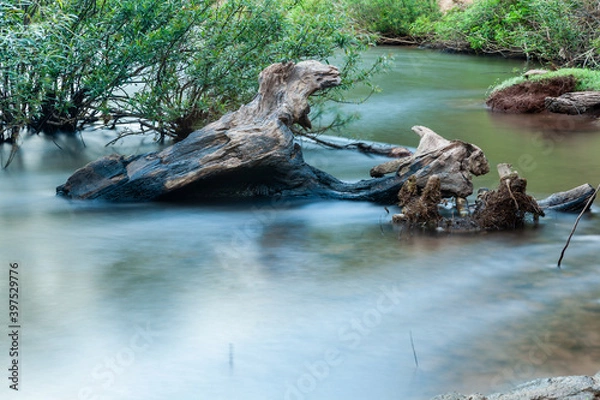 Obraz The stream of water flows down