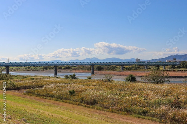 Fototapeta 相模川（神奈川県海老名市）