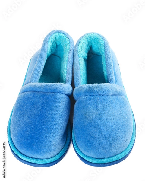 Obraz House slippers